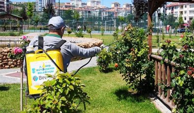 Keçiören Belediyesi yaz aylarının başlamasıyla sinek ve haşere oluşumuna karşı ilaçlama seferberliği başlattı