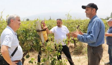 Manisa Meclisi’nden hasar gören üreticilere destek