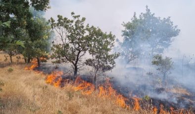 Manisa’da ormanlık alanı tehdit eden yangın