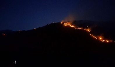 Manisa’da tarım alanından ormana sıçrayan yangın kontrol altına alındı – Güncel haberler