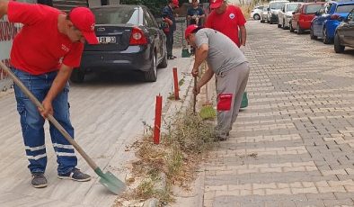 Menderes Belediyesi’nde Yol Temizliği