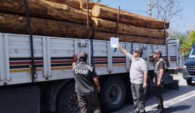 Mobil orman kontrol noktaları denetimde