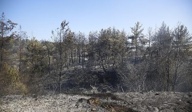 Büyükşehir İtfaiyesi alevlere müdahale etti