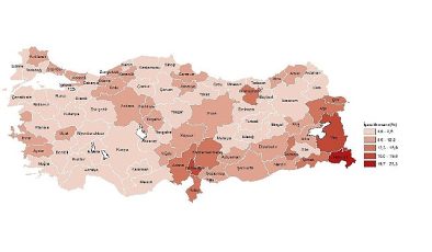 Tüik: İl Düzeyinde İşgücü İstatistikleri, 2023