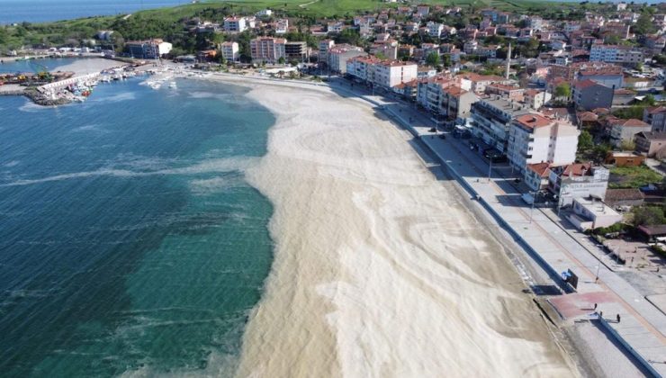 Marmara Denizi’nde müsilaj tehlikesi! Su sıcaklığı 2,5 derece arttı