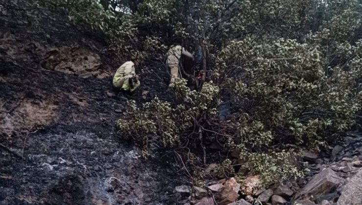 Manisa’da 50 dekarlık meyve bahçesi kül oldu