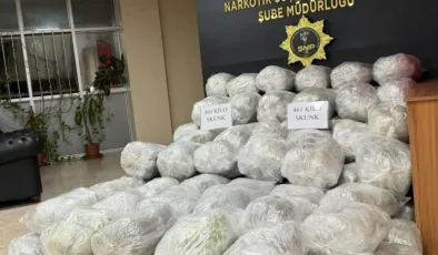 Şanlıurfa’da 461 kilo skunk ele geçirildi