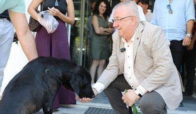 Edremit Belediye Başkanı Mehmet Ertaş sokak köpeğini sahiplendi