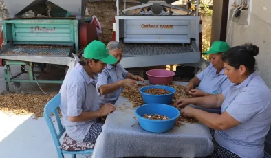 Muğla tarımı dünyaya açılıyor