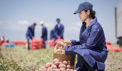 PepsiCo Türkiye’den 16 Ağustos Dünya Patates Gününde Yenileyici Tarımda Büyük Başarı: Patates Üretiminin %89’u Yenileyici Tarım Uygulamalarıyla Gerçekleşiyor