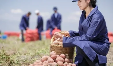 Yenileyici tarımda büyük başarı