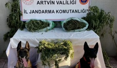 Artvin’de uyuşturucu operasyonu düzenlendi