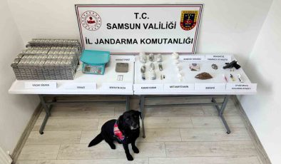 Samsun’da jandarma ekipleri çok sayıda uyuşturucu madde ele geçirdi