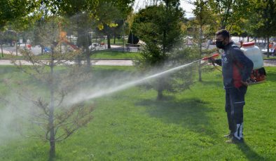 Meram’ın park ve bahçelerine kış bakımı 