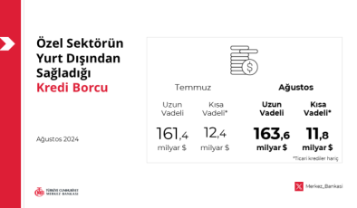 Özel sektörün yurt dışı kredisi 175,4 milyar dolar oldu