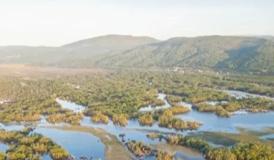 Karacabey Longozu su toplamaya başladı