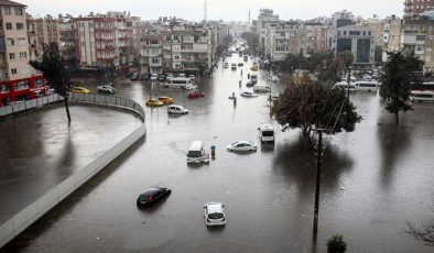 Doğanın dengesi bozuldu: 53 yıl sonra en sıcak yıl ve 900 ekstrem doğa olayı yaşandı