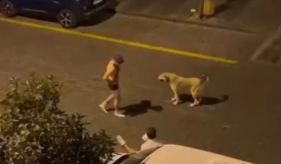 Çıplak şekilde sokak ortasındaki köpeğe tacize tutuklama