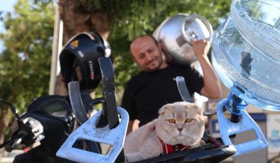 Konya’nın tüpçü kedisi! Bütün gün motosiklette sipariş dağıtıyorlar… “Ayrılamaz olduk”