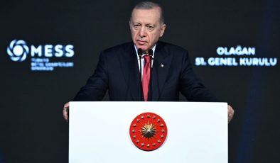 Cumhurbaşkanı Erdoğan: Enflasyon dizginlenmeye başladı