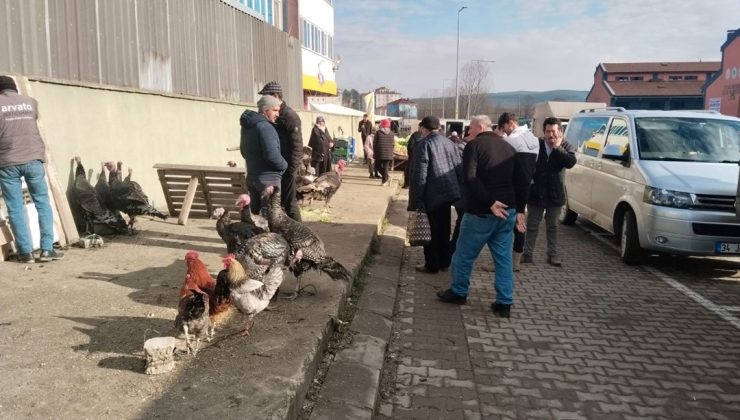 3 bin 500 liradan pazardaki yerini aldı: Demir ve protein açısından zengin, kolesterole iyi geliyor