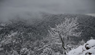 Muğla’da sağanak, yüksek kesimlerinde kar etkili oluyor